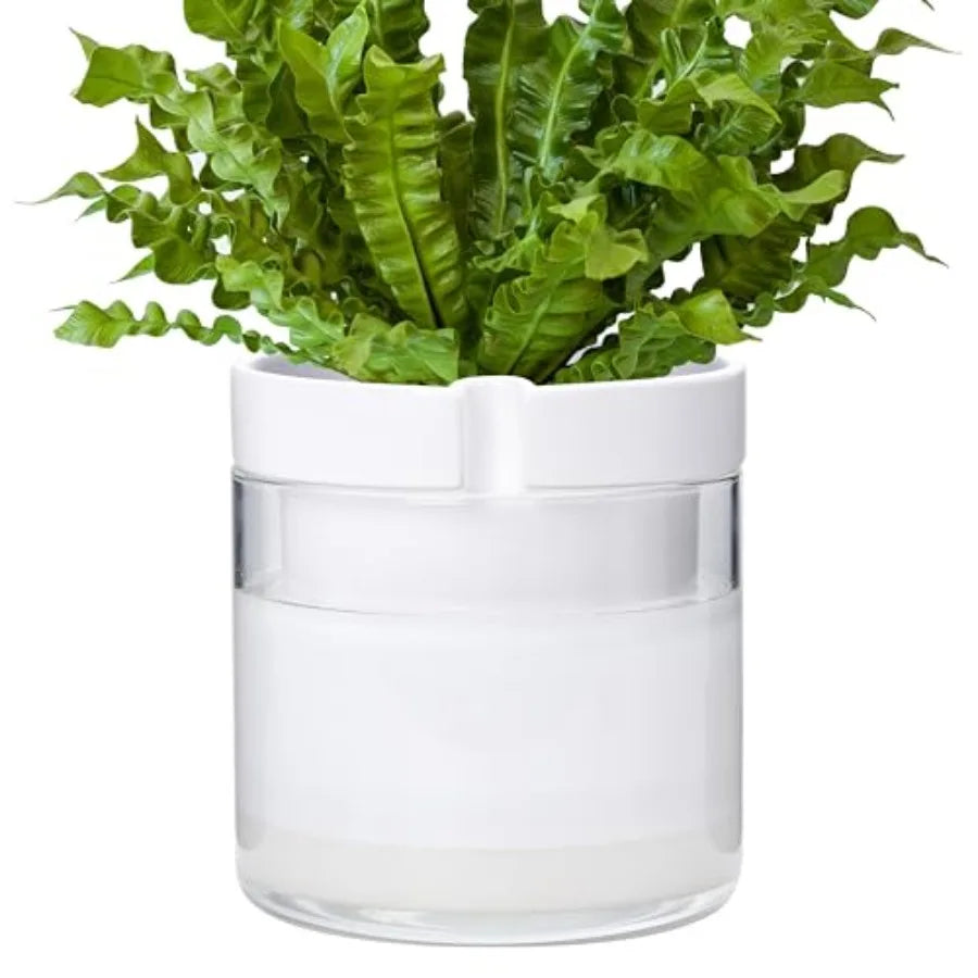 8 Inch Self Watering Planter White Terracotta Clay Pot With Glass Reservoir