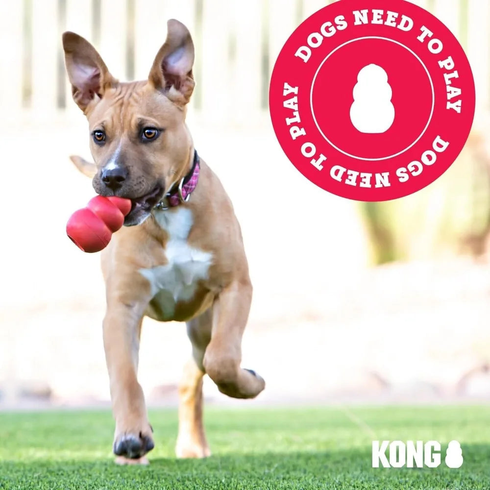 KONG Classic Toy and Enhanced Ziggies Treats Combo Pack for Dogs